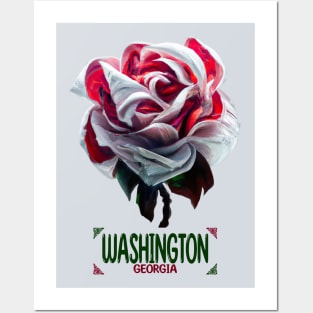 Washington Georgia Posters and Art